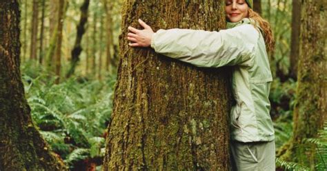 Piantare alberi nell'Artico: un rischio per il clima, non 